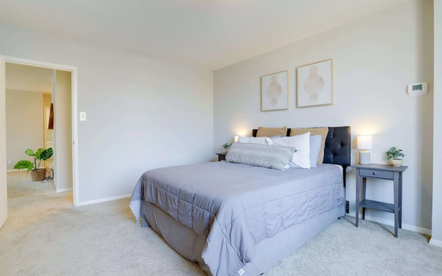 Beautiful & Spacious Apt in Crystal City