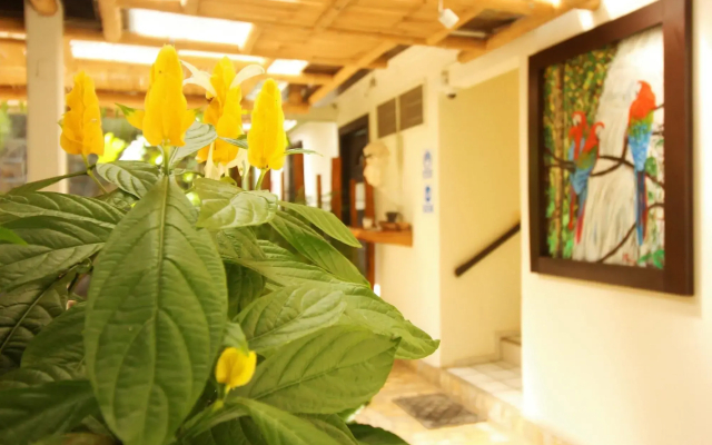 Casa Janaab Palenque - Hostel
