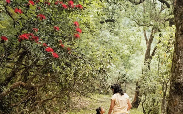 Amaraya by Larisa Nainital