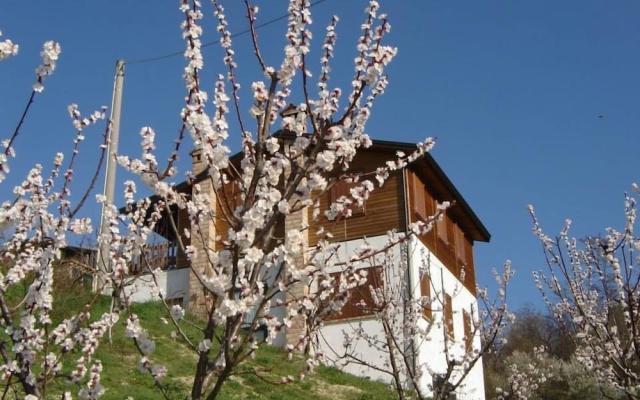 Casa dell'Abbondanza B&B Agriturismo