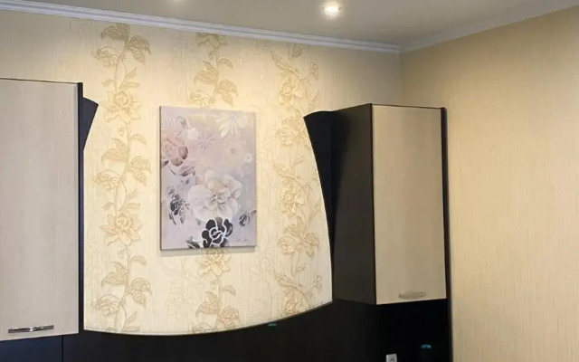 Apartment in the center