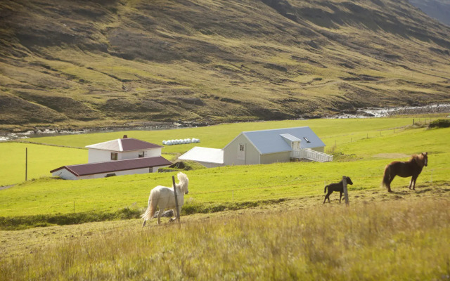 Wilderness Center Óbyggðasetur Íslands