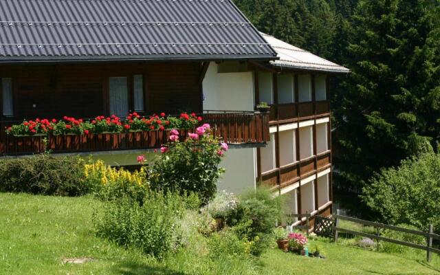 Gasthof Hotel IFENBLICK