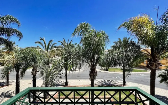 Tavira Palm Tree by Homing