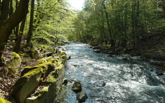 Flair Hotel Waldfrieden