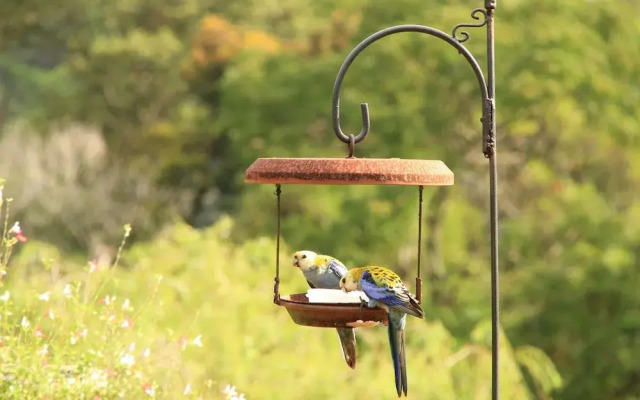 Seasons of Maleny B&B