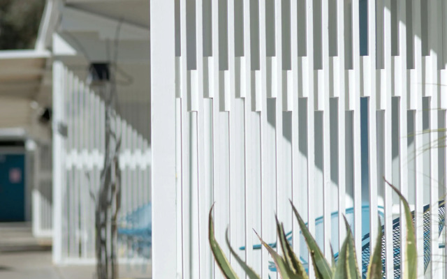 The Monkey Tree by AvantStay – Mid-Century Modern Oasis with Pool