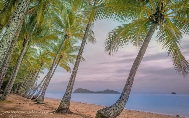 Coastal Vibes - Palm Cove