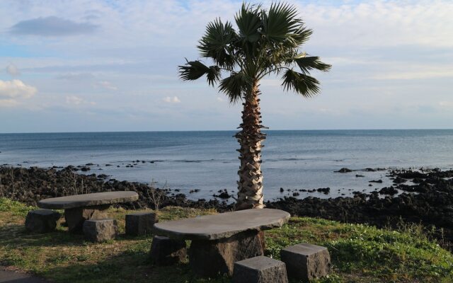 Blue Island Guesthouse - Hostel