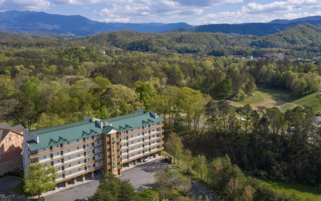 523rpgvc839apfncb - Rockin' Robin 839a