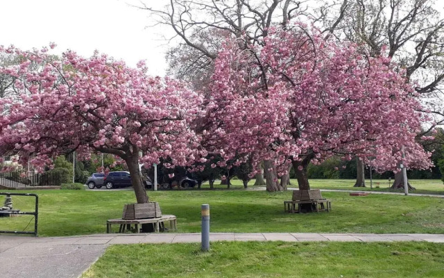 Endsleigh Park