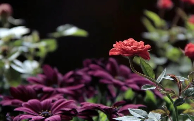 Bahao Bieyuan Boutique Inn