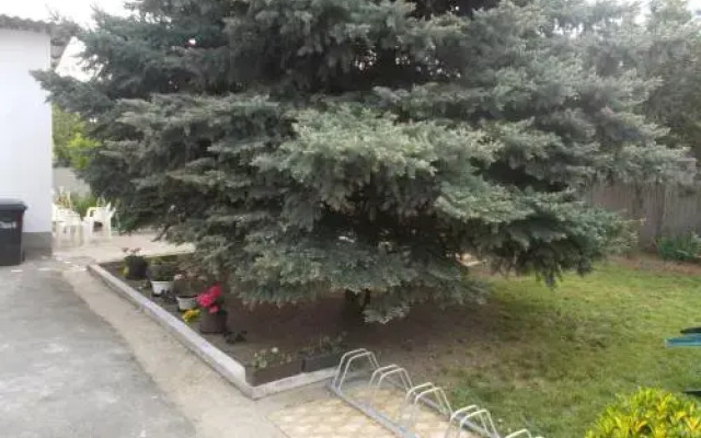 Szoke Tisza Vendeghaz