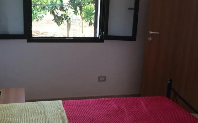 Case Vacanza lUlivo