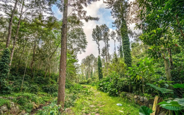 Shambala Yercaud