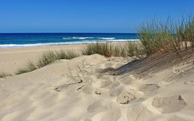 Paradise Holiday Apartments