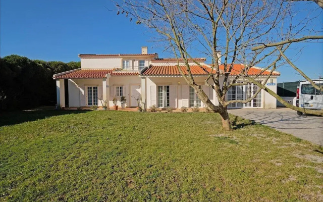 FreeSurfCamp & Hostel