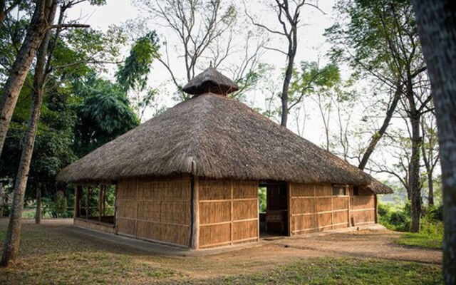 Tigertops Elephant Camp