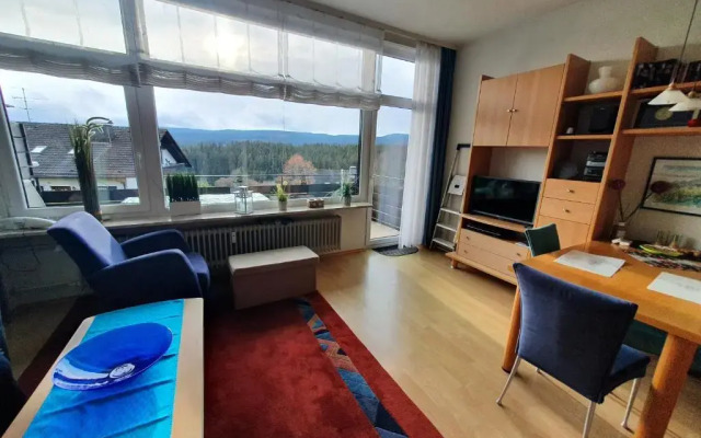 Appartement mit Südbalkon im Haus Feldbergblick in Kappel - Appartement 37