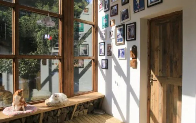 Moganshan Muddlehead's Pet Theme B&B