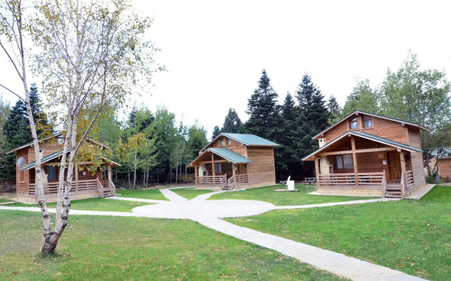 Uludag Orman Koskleri