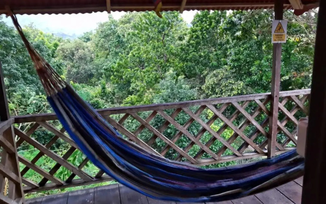 Tayrona Deep Forest Posadas