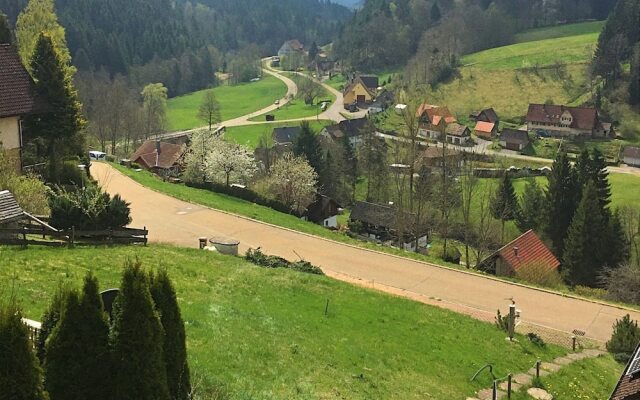 Holiday Home in the Black Forest With Sauna