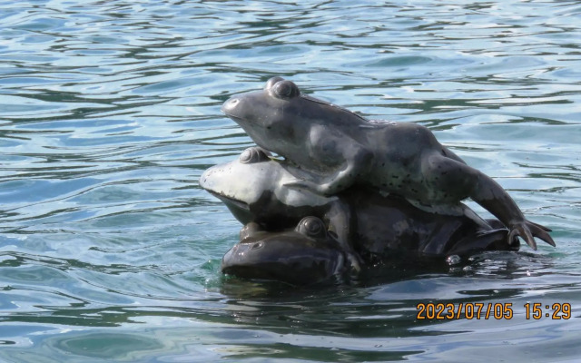 雅如小築電梯民宿