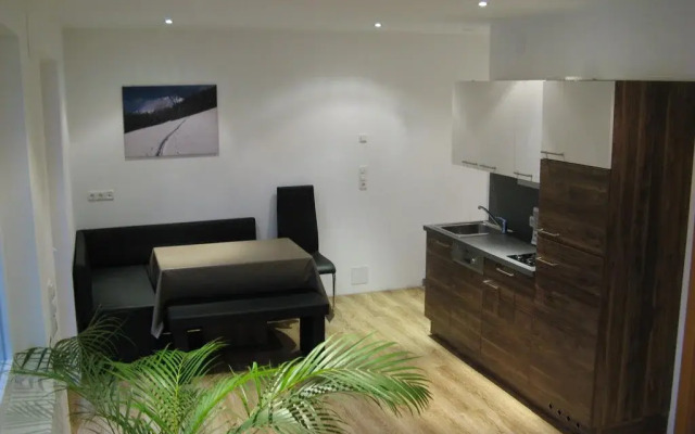 Ferienwohnung Brandtner Leogang