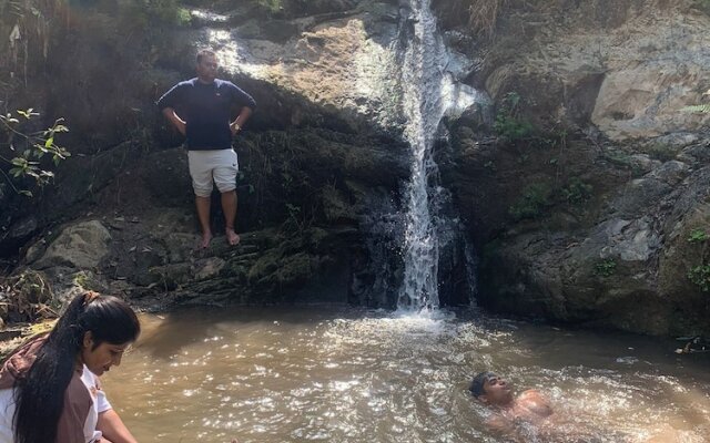 Pine Trails Jungle Camp