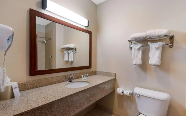 Comfort Inn & Suites Las Vegas - Nellis
