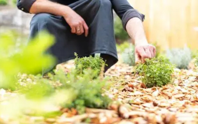 Restaurant Cafe Ladurner