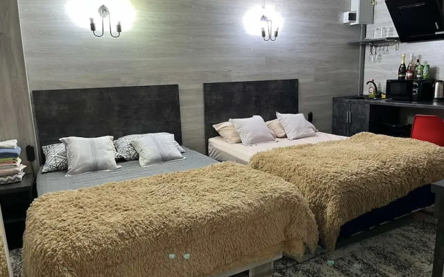 Deluxe Centre Apartment