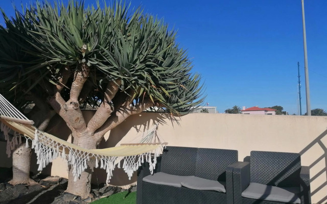 O DRAGOEIRO da Madalena!