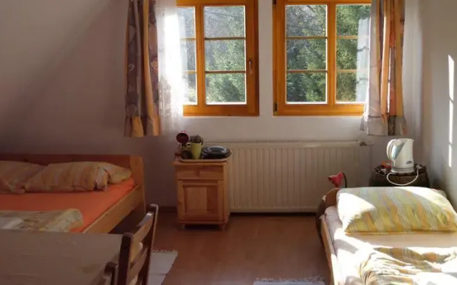 Pokoje Gościnne Arnika Górska