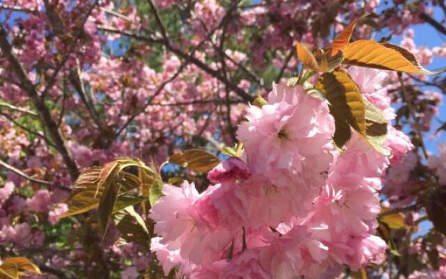 Hotel & Ristorante IL Regalo