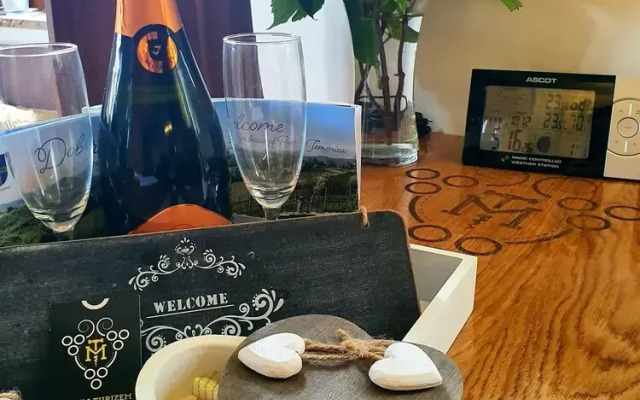 Vineyard cottage Matej