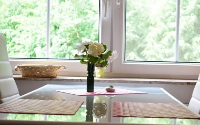 Schroder at the Aerie