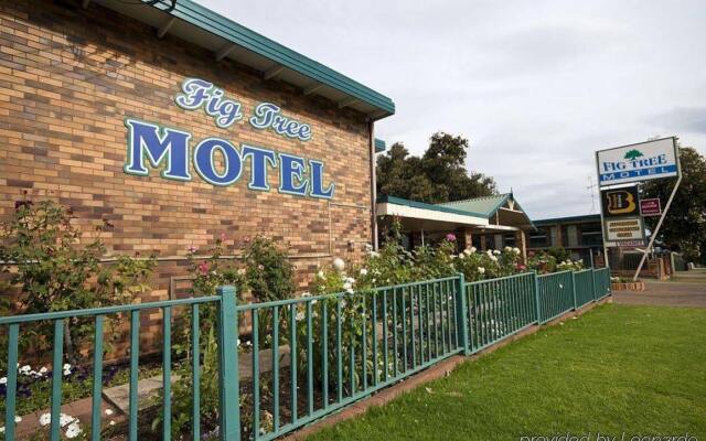 Fig Tree Motel — 3-star hotel in Narrandera