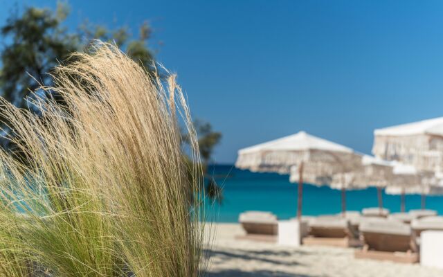 Virtu Suites