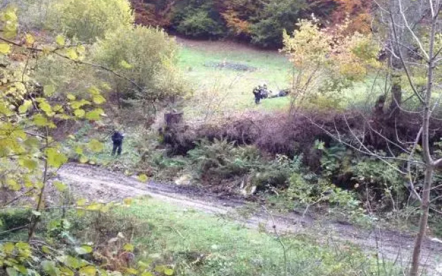 Pensiunea Rau Sadului