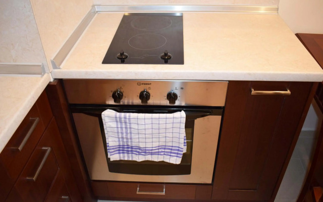 Downtown Luxury private apartments