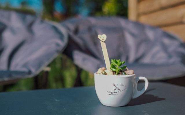 Villas P Moinho - 01 Ameixoeira