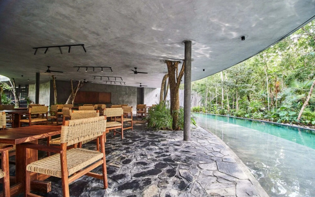 Tribu Tulum 305 By Lockey