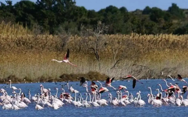 Casa Vacanze A Pennichella