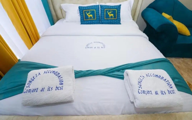 Songeza Furnished Accomoda-super Studio,embakasi