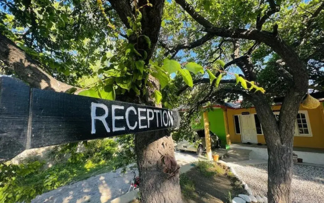 Apricot Spring Resort