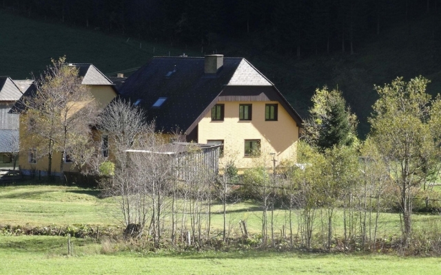 Serene Apartment in Pusterwald Near the Ski Slopes
