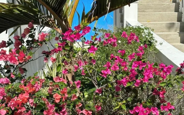 Moalboal Casablanca Inn