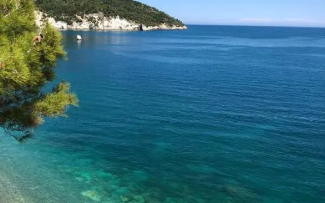 Camping Apartment Vignanotica